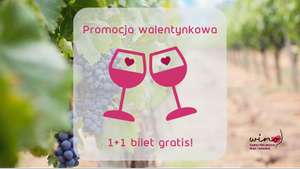 WINO - Targi Polskich Win i Winnic 2024 w Poznaniu, m.in. degustacje win i wiele innych > bilet 1 + 1 gratis z okazji Walentynek dla dwojga