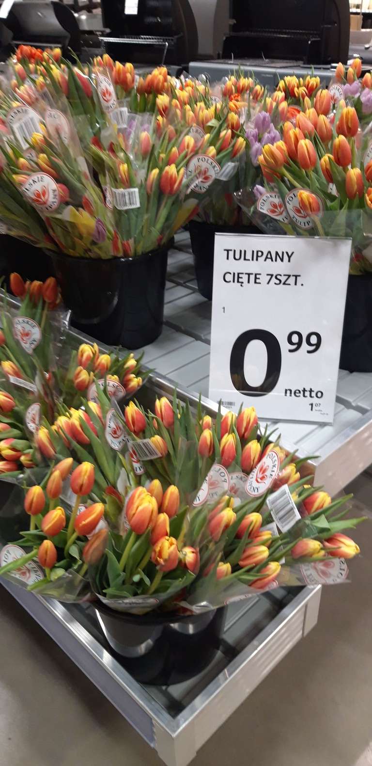 Tulipany bukiet 7szt. w Selgros Białystok
