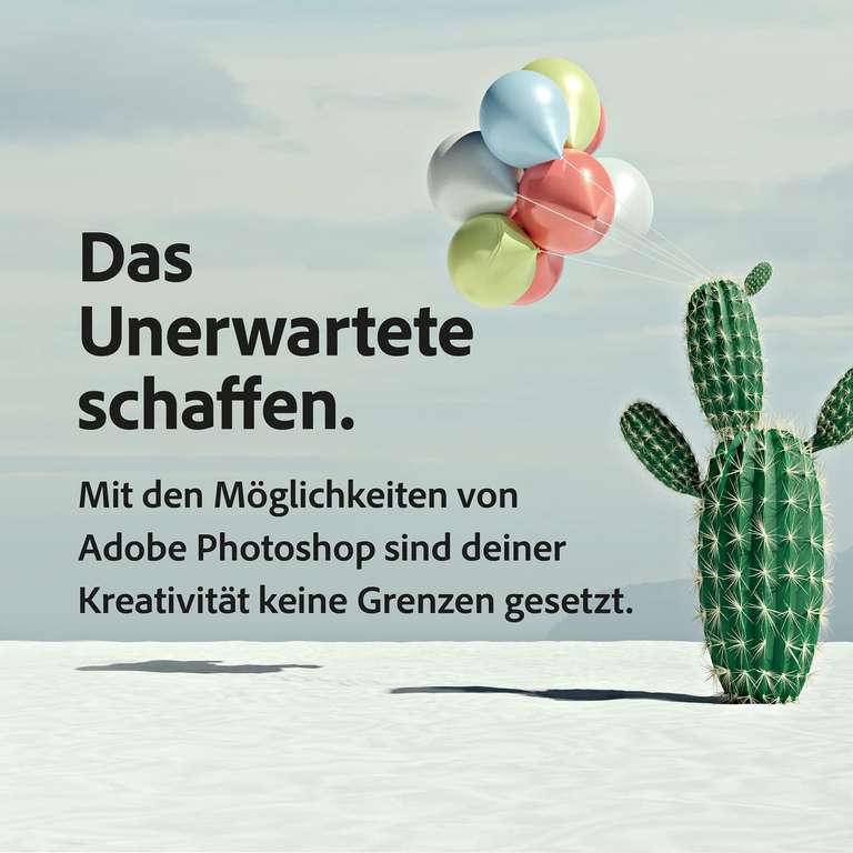 Adobe Photoshop i Lightroom - Plan Fotografia na rok €91,66
